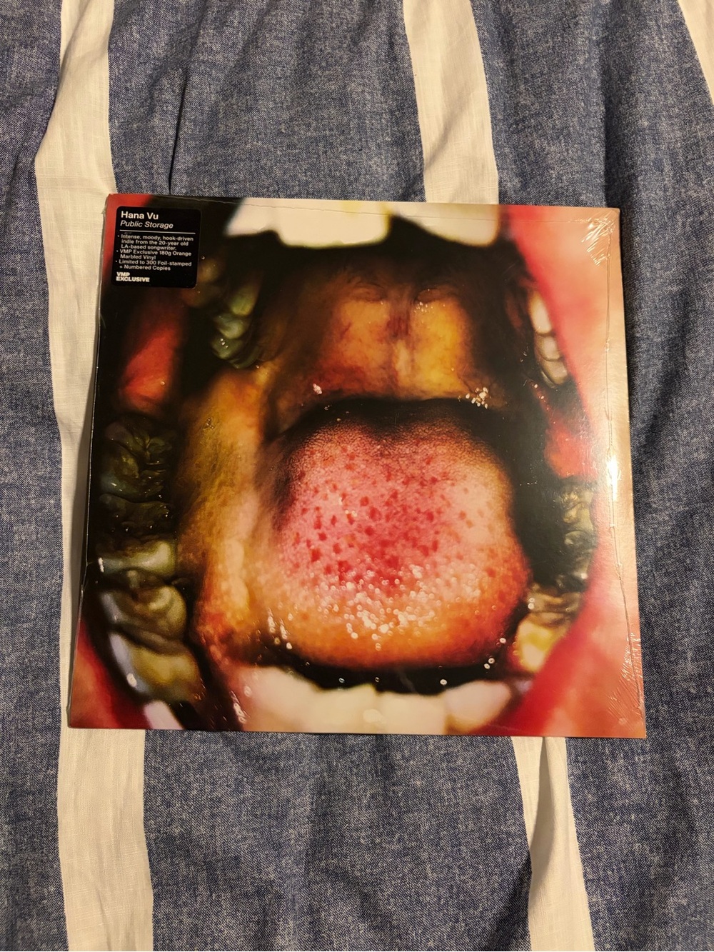 Public Storage by Hana Vu (Record, 2021; VMP Exclusive)